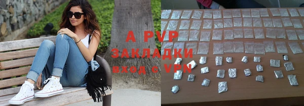 PSILOCYBIN Беломорск