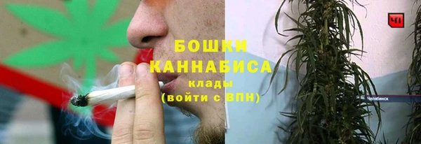 прущие крисы Белокуриха