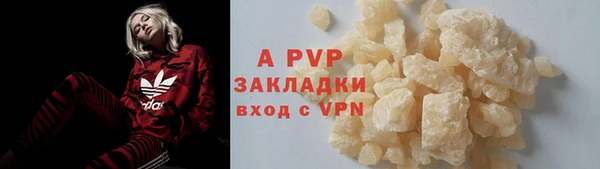прущие крисы Белокуриха