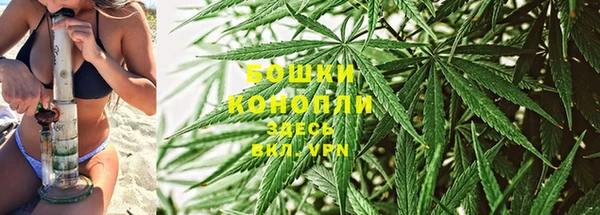 PSILOCYBIN Беломорск