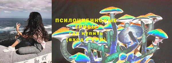 прущие крисы Белокуриха