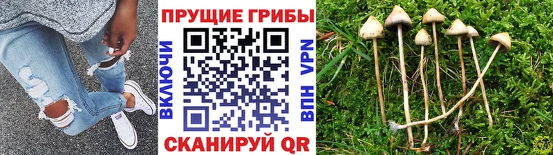 Галлюциногенные грибы ЛСД  Геленджик 